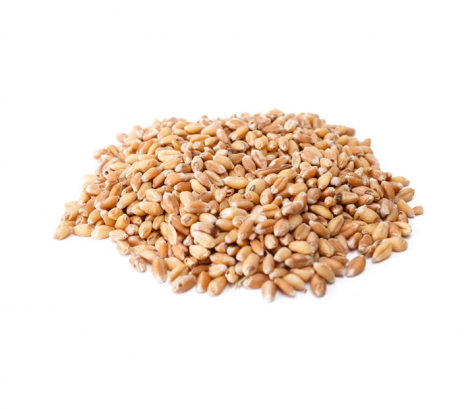 grains_1518090225-c8a74d4693abe1d7fdc3d9332e2ba08a.jpg