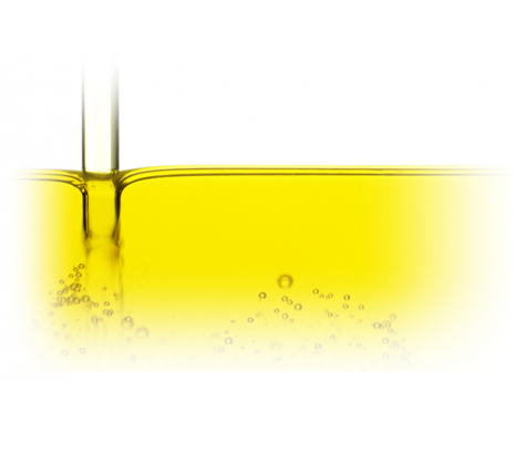 soybean-copy_1520594496-2eb87c9535c0b3cf00c8c1f6869461dd.jpg